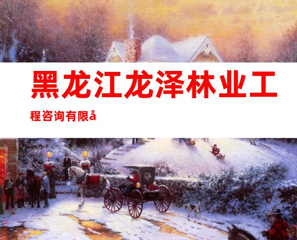 黑龙江龙泽林业工程咨询有限公司